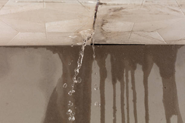 Professional Structural Drying technician working in Fate, TX